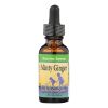 Herbs For Kids Minty Ginger - 1 Fl Oz